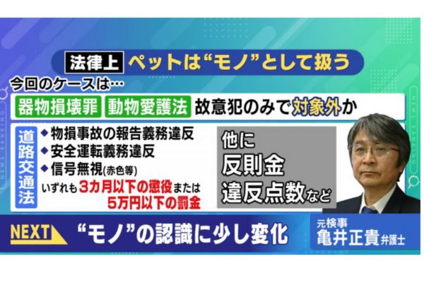 高齢男性はどんな罪に問われる?【名古屋市緑区ポメラニアン事故】