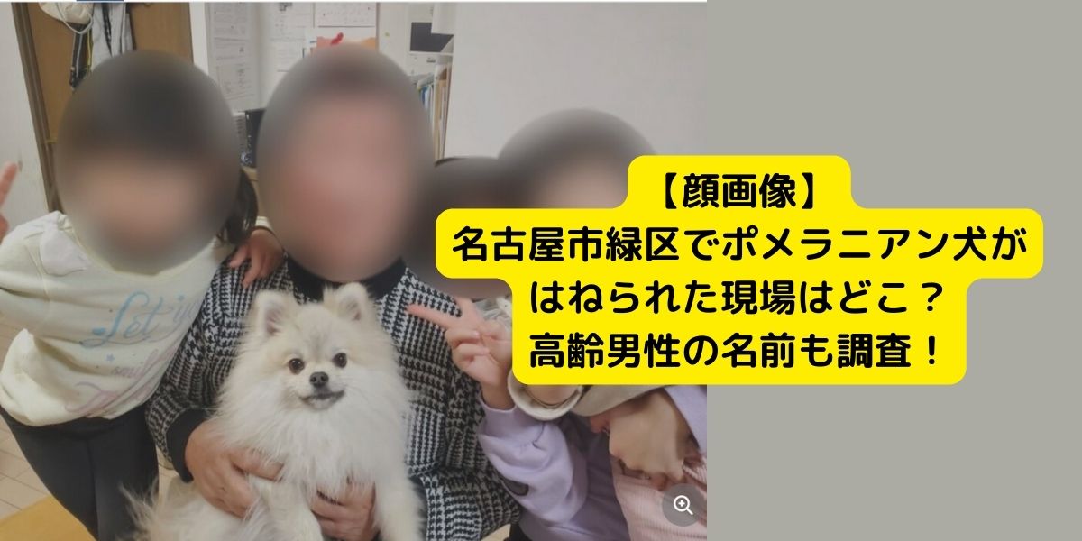 【顔画像】名古屋市緑区でポメラニアン犬がはねられた現場はどこ？高齢男性の名前も調査！