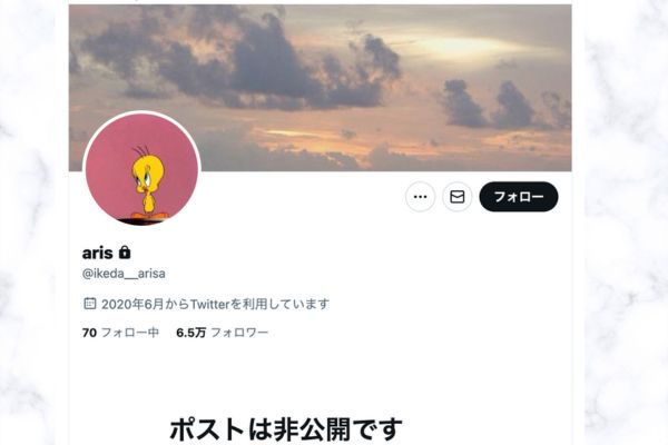 池田有里紗さんのTwitter（現X）アカウント